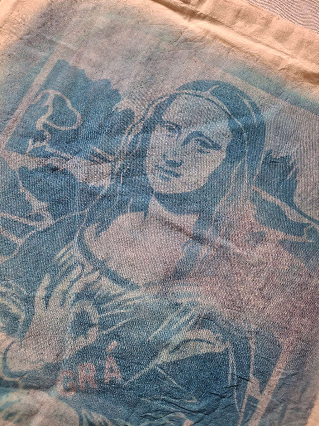 Grá mór mona Lisa cyanotype